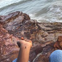 imadeitpast20 (@baelarr_) 's Twitter Profile
