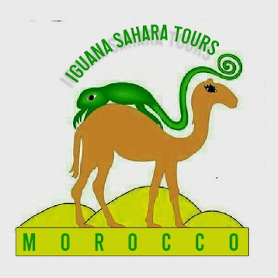 Scopri il Marocco con Iguanasaharatours.Marocco 
#Viaggi_Tour_Operator
#Viaggi_Marocco #Viaggi_Marrakech 
#Viaggi_Casablanca #Viaggi_Tangier #Viaggi_Fez #Vacanz