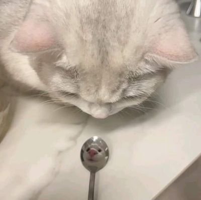 明丹さんのプロフィール画像