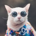 tate's avatar