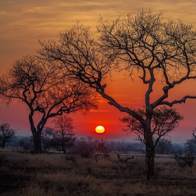 ThugjjUnc's profile picture. We live and die