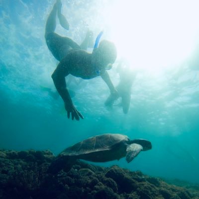 perov_krll's profile picture. Software engineer