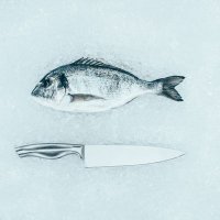 FishBlade ๐ ๐ก๏ธ (@fishbladerpg) 's Twitter Profile