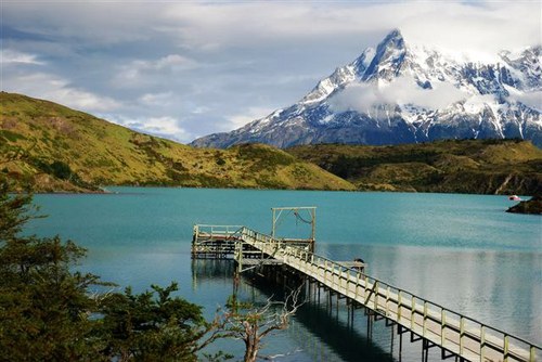 aflipo's profile picture. 