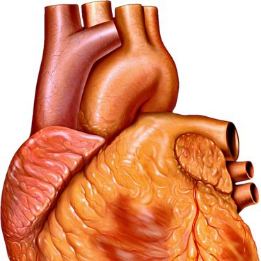 CardioTwit Profile