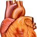 CardioTwit (@goli_bot) Twitter profile photo CardioTwit (@goli_bot) Twitter profile photo