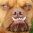 TorrySmith's profile image