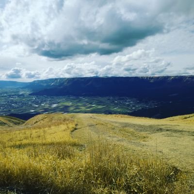 m0rn1ngshot's profile picture. 