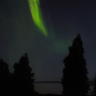 kimbester82's profile picture. 