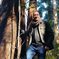 Sinohé Elías Pallotta (@sinohepallotta) 's Twitter Profile Photo