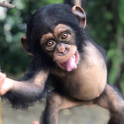 T3x4nGsnap's profile picture. 