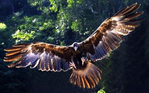 enviroeagle's profile picture. Saving Water Today for Tomorrow through our Pat. Technologies & Education. Biz. Opportunities http://t.co/lAeLtH6d 
 http://t.co/Mca9LUqj Linkedin