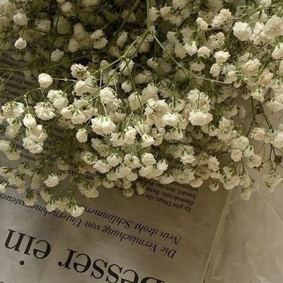 AlhafyNhlh's profile picture. مدربة وكوتش