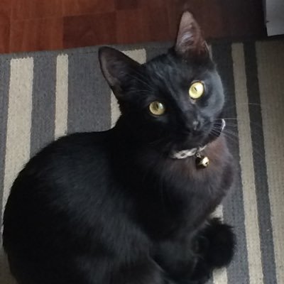 flyinktx's profile picture. 