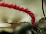 Fabel_Stories's profile picture. Fabel tweet about philosophy, art, technolohy, participation and our own projects