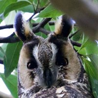 nncat🇺🇦 (@nncat2008) 's Twitter Profile