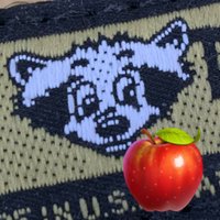 (• ̬ ̬ ̬ ̬)🦝A・T・C🦝ひか (@hikariii) 's Twitter Profile
