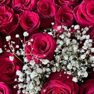 vatandas0612's profile picture. HÜKÜM YANLIZ ALLAHINDIR