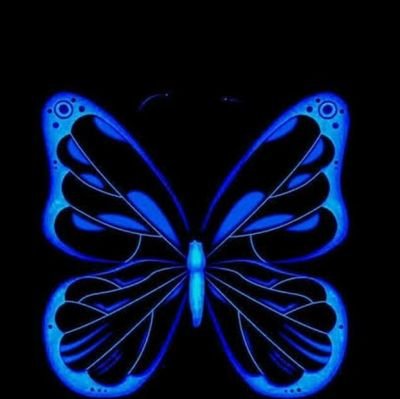 KimDelight1's profile picture. 