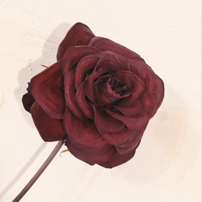旦那様のいいなりアラフォー人妻です♡パンスト♡野外露出♡お尻♡ 調教されているドMな私を見て下さい💕 #人妻 #露出 #変態夫婦 #野外露出 #アナル