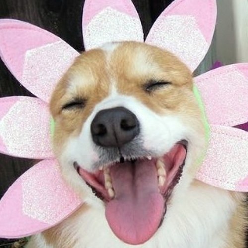 akafuku212's profile picture. 人生1度きり！日々、夢中になれるナニかを模索中。旅好き。食べる事、飲む事大好き！基本きまぐれ自由人！？