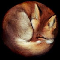 Winterfox (@finnleyfox) Twitter profile photo