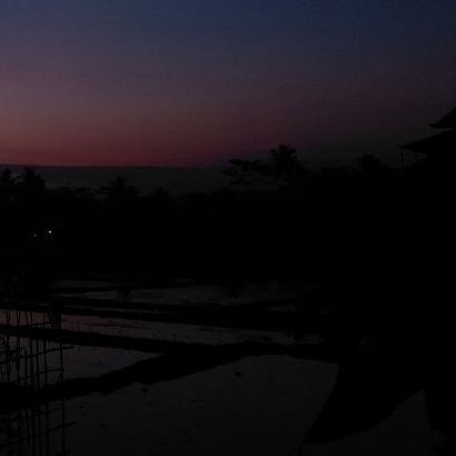 ixoraxora_1's profile picture. Welcome to the jungle🐽