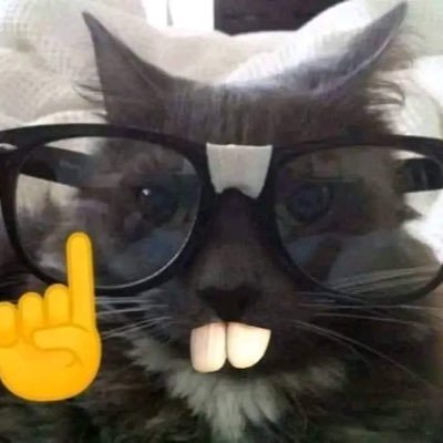 joacoreresala's profile picture. Well, here I am. What are your other two wishes?