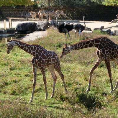 SDMAP00SdbynRCn's profile picture. 