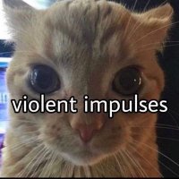 Izzy (@izzylunchbox) 's Twitter Profile