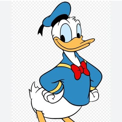 who wants to party?! hi everybody what the hay? SUS my name is Donald Duck quack quack. 🦆