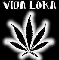 Bora Seguiir     #SeusVeermess .............