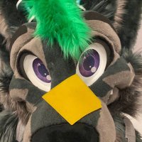 🐾 Lane McVΛPӨUЯPaws 🐾 (@lanepaws) 's Twitter Profile