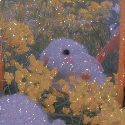 Spook+*-さんのプロフィール画像