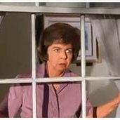 Gladys Kravitz' Window(@gladysgkravitz) 's Twitter Profile Photo