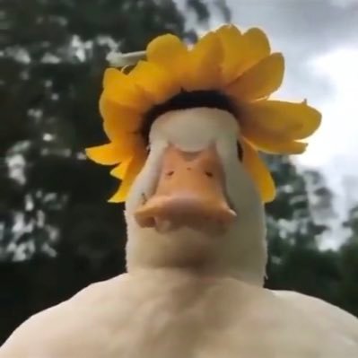 jjさんのプロフィール画像