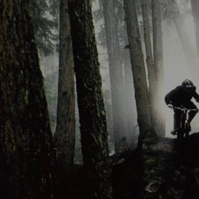 LeigSVO's profile picture. “Bull markets are born on pessimism, grow on skepticism, mature on optimism, and die on euphoria” - John Templeton.