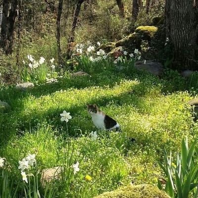 dontttalkme's profile picture. 