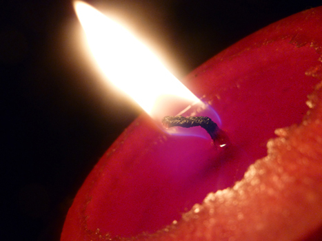 Jenarna_Candles's profile picture. We are a Brisbane based business and have been established since 2009.  Our Palm Wax Candles are a fresh, all natural, environmentally friendly alternative.