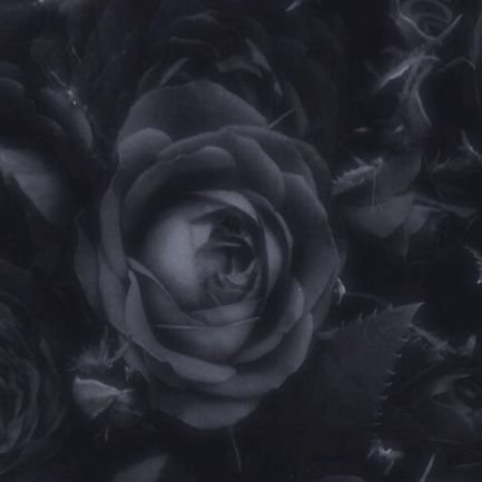 akagaminozin's profile picture. 20代㊚
イケPです(*´∀｀)
気軽にDM下さい！！