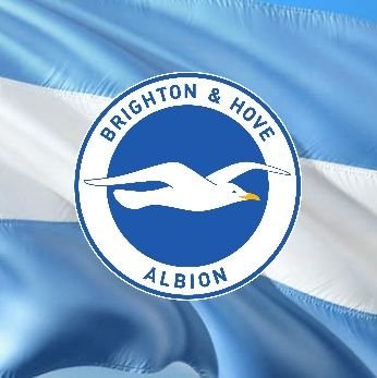 Hincha argentino del Brighton and Hove Albion FC. La Europa League es nuestra obsesión.