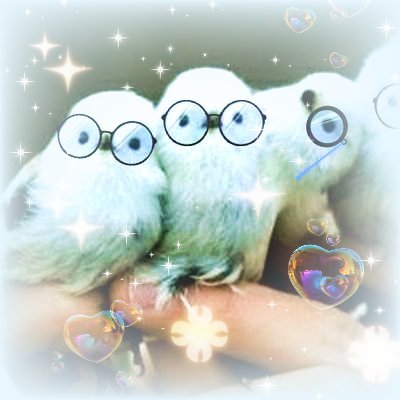 부계살이 중 :: 금을さんのプロフィール画像