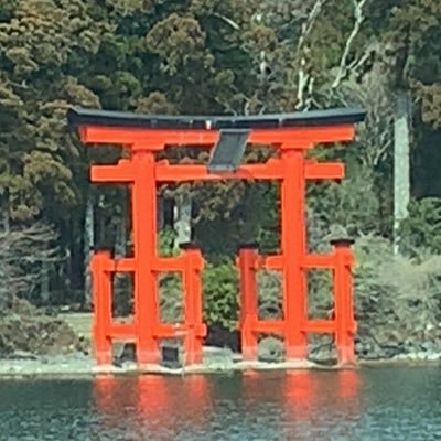 KqzTcAWOGCWLD2t's profile picture. 