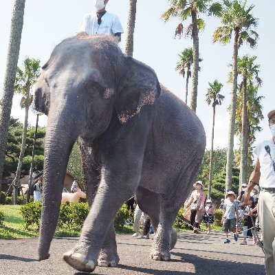 「宮崎市フェニックス自然動物園」の公式アカウントです。
日々の動物たちの様子や、イベント情報などを発信していきます!
個別のご質問には対応しておりませんので、ご了承ください。
お問い合わせは info@miyazaki-city-zoo.jp まで。