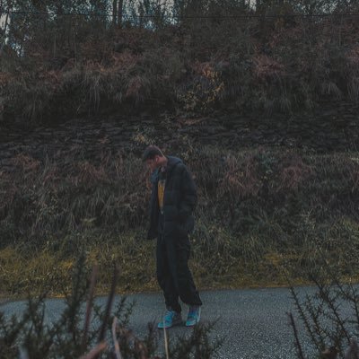 diogo8775's profile picture. 