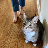 Denise (@denisesteven007) 's Twitter Profile