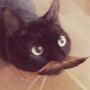 Nobel Laureate Dr. Moxford A. LeBitski esq. Profile