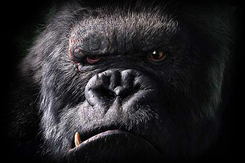 luis_bengoechea's profile picture. 