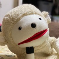 @よっぺ (@y_t_1986_0114) 's Twitter Profile