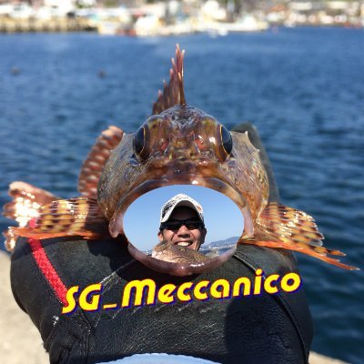 SG_Meccanico Profile Picture